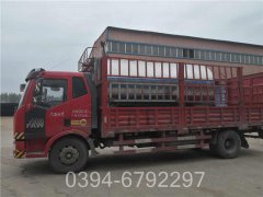 广东CWNS0.49-85/60-QY热水乐动（中国）