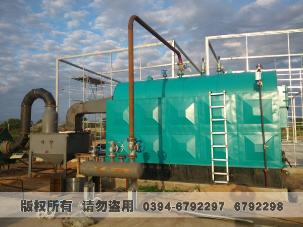 活动炉排型生物质/煤蒸汽乐动（中国）