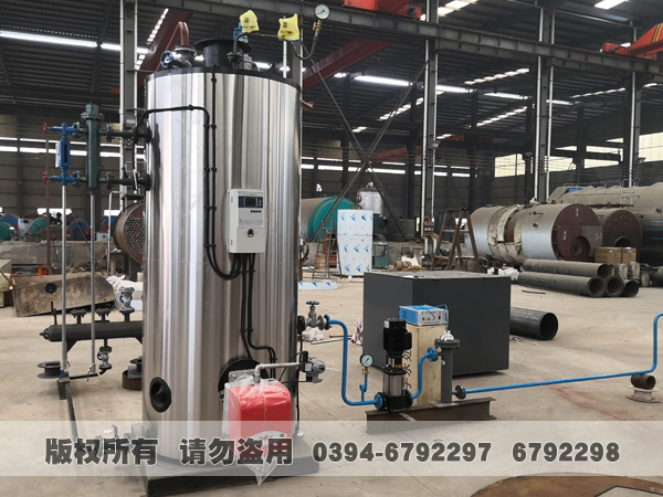 立式燃油/气蒸汽乐动（中国）