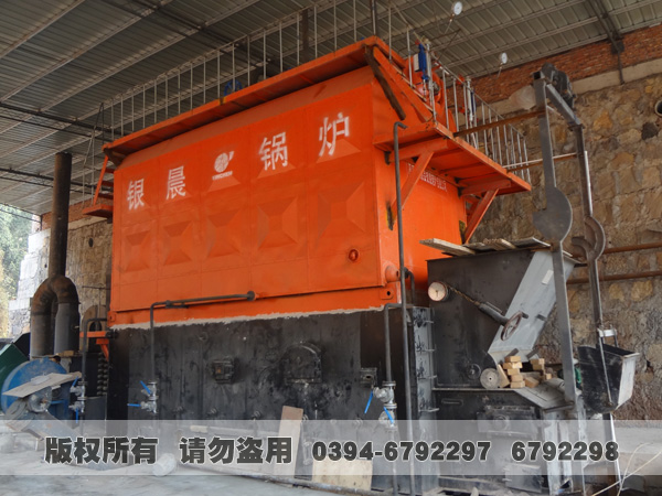 双锅筒生物质蒸汽乐动（中国）