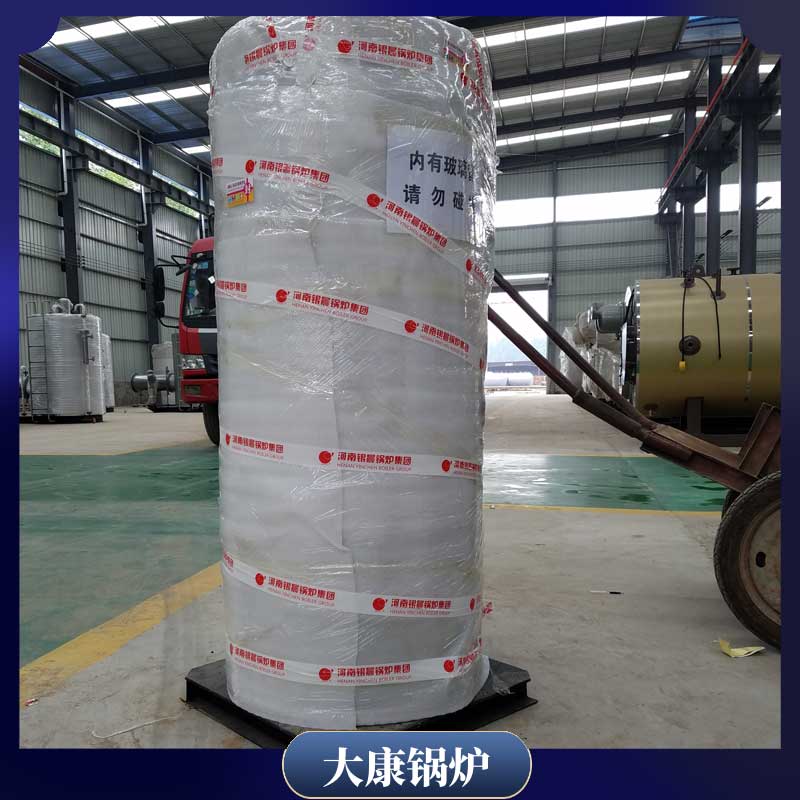 1t燃生物质乐动（中国）