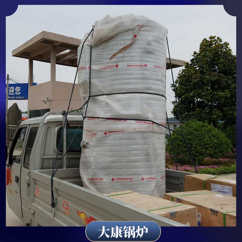 15吨燃气低氮乐动（中国）