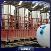 云南CWNS0.7-85/60-QY常压热水乐动（中国）