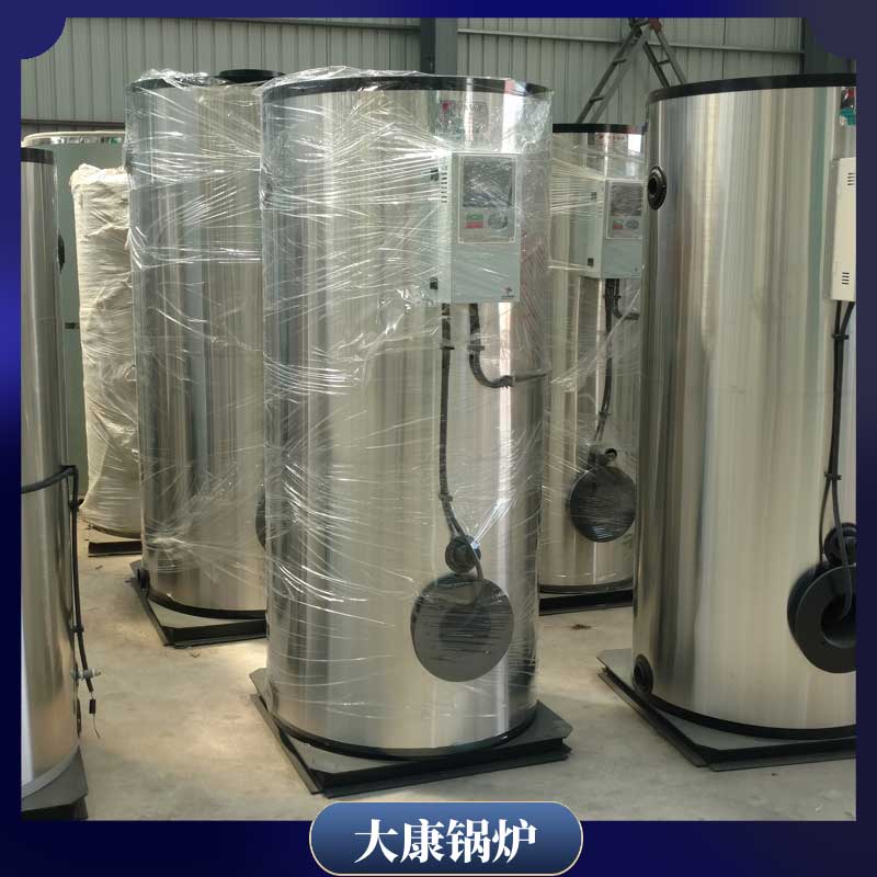 6t生物质燃料乐动（中国）