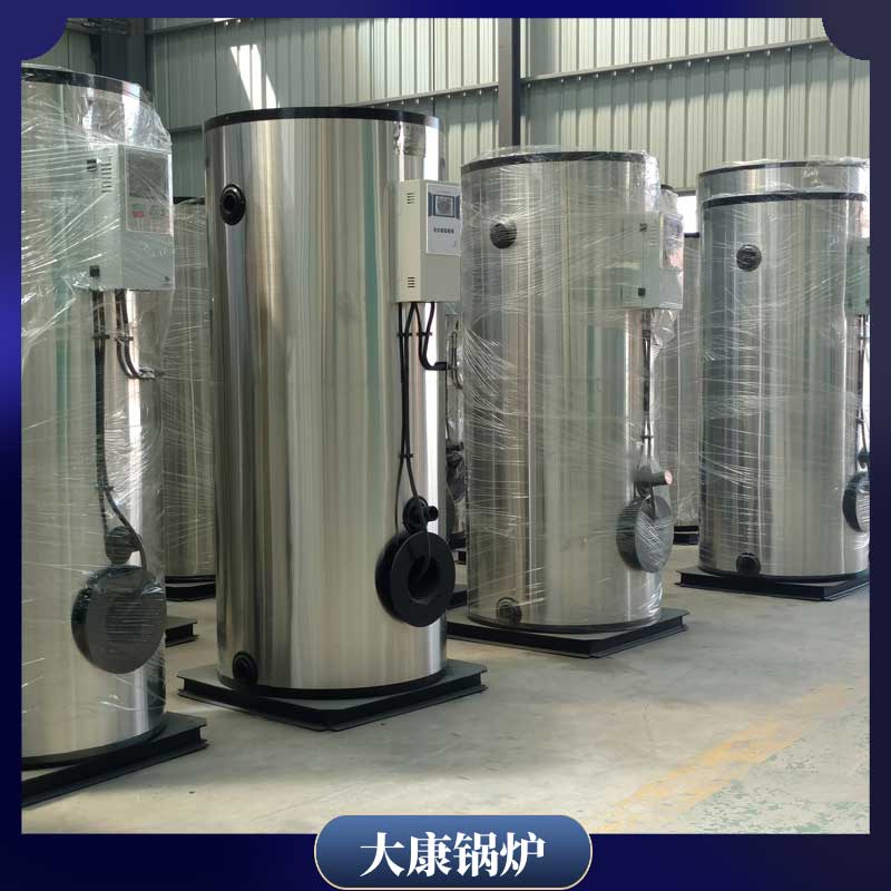 15蒸吨生物质乐动（中国）