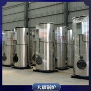 蒸汽乐动（中国）安全技术0.5吨低碳美观,使用寿命长,