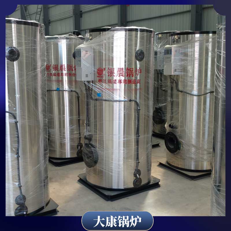 10t生物质蒸汽乐动（中国）