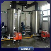 蒸汽乐动（中国）维护0.5吨品质生产厂家