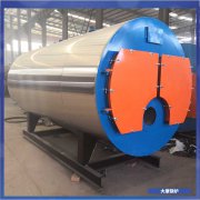 广东十吨蒸汽乐动（中国）