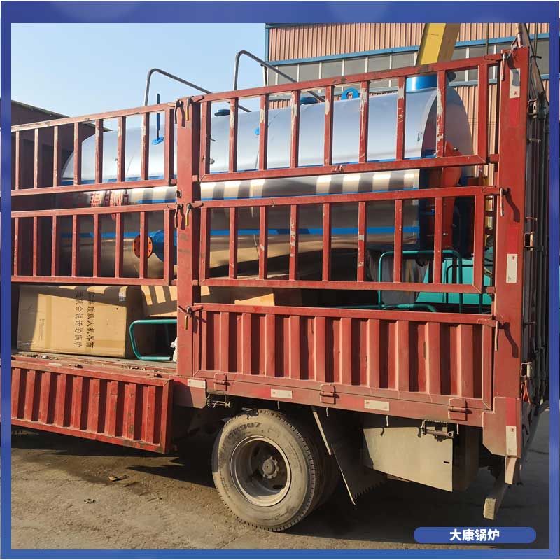 燃生物质蒸汽乐动（中国）