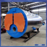 购买燃油蒸汽乐动（中国）WNS0.5澡堂用的