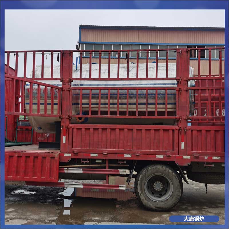 10t生物质乐动（中国）