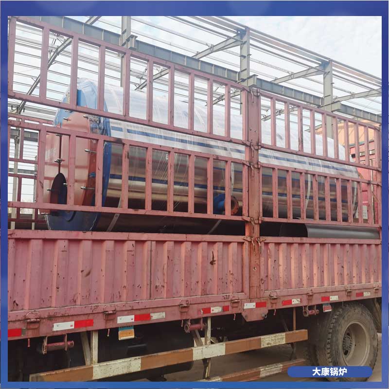 四吨低氮真空乐动（中国）