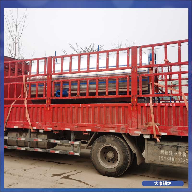 15吨低氮冷凝蒸汽乐动（中国）