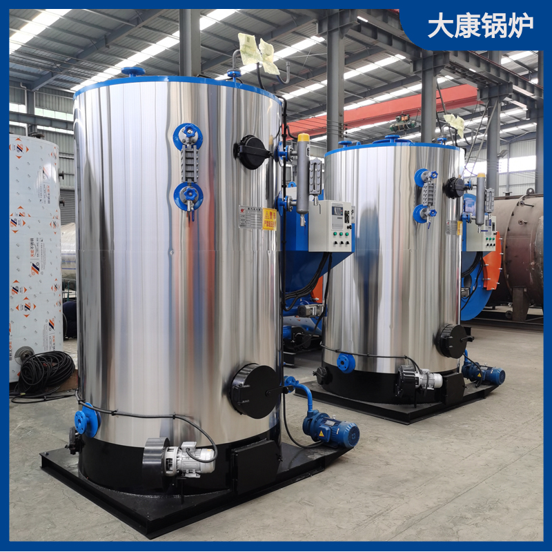 烧生物质乐动（中国）厂家