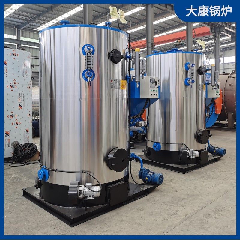 立式生物质蒸汽乐动（中国）1