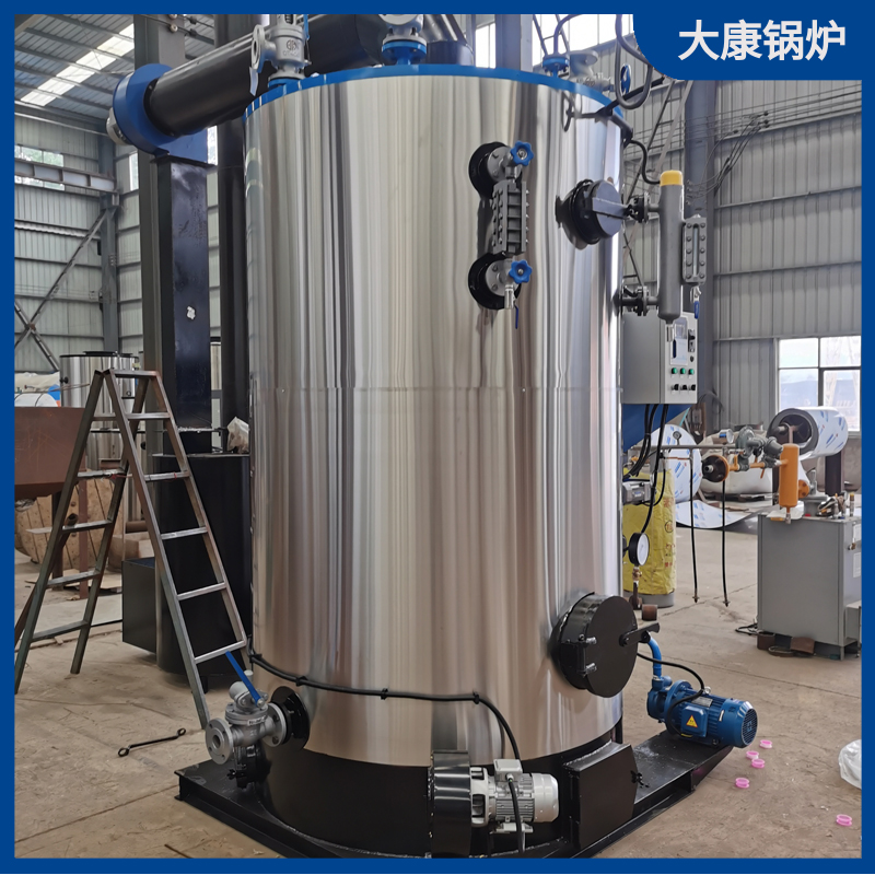 2t生物质蒸汽乐动（中国）