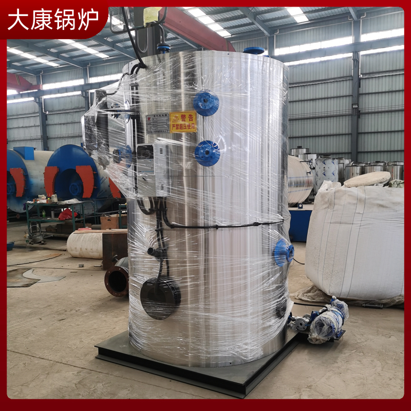 6t生物质燃料乐动（中国）