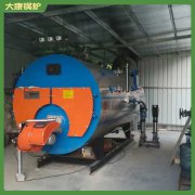 燃煤蒸汽乐动（中国）立式15吨如何选择呢