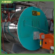 4吨冷凝天然气乐动（中国）银晨乐动（中国）厂