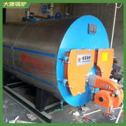 河南200万大卡蒸汽乐动（中国）