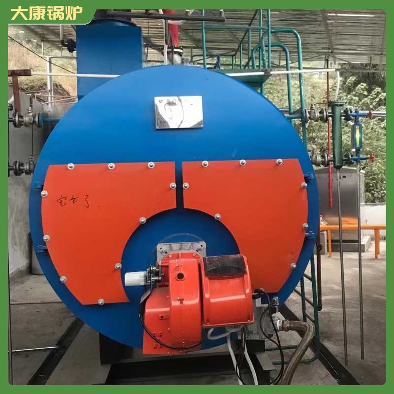 1吨低氮冷凝蒸汽乐动（中国）