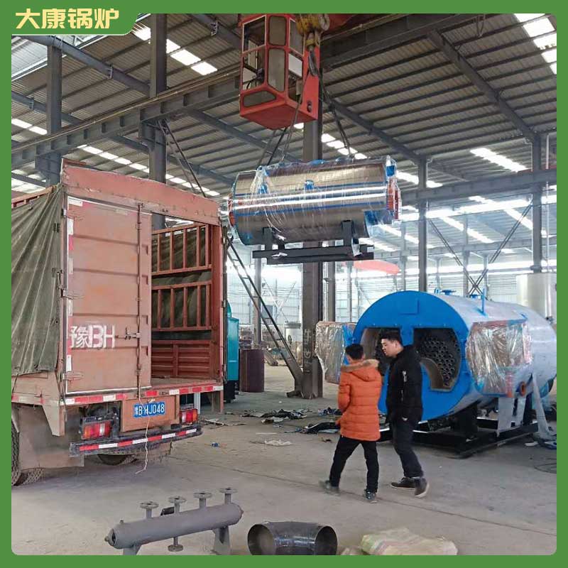 10t生物质蒸汽乐动（中国）