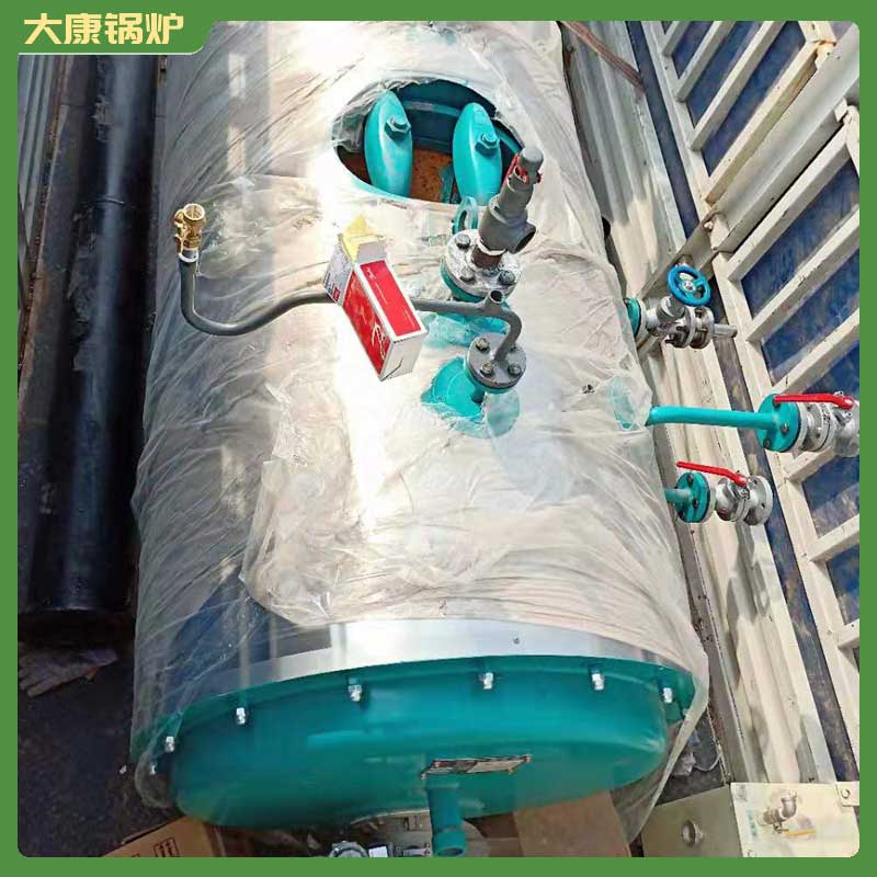 生物质乐动（中国） 链条炉