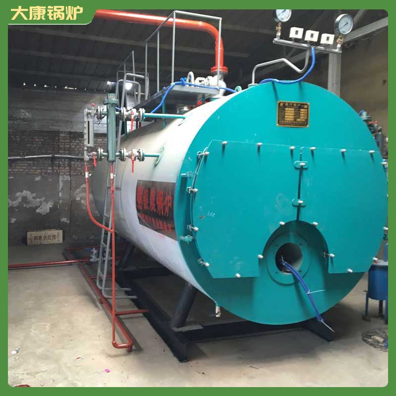 一t燃生物质乐动（中国）