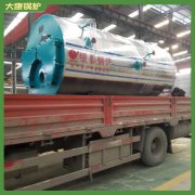 河北20t低氮乐动（中国）