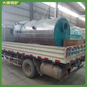 西藏8t低氮真空乐动（中国）