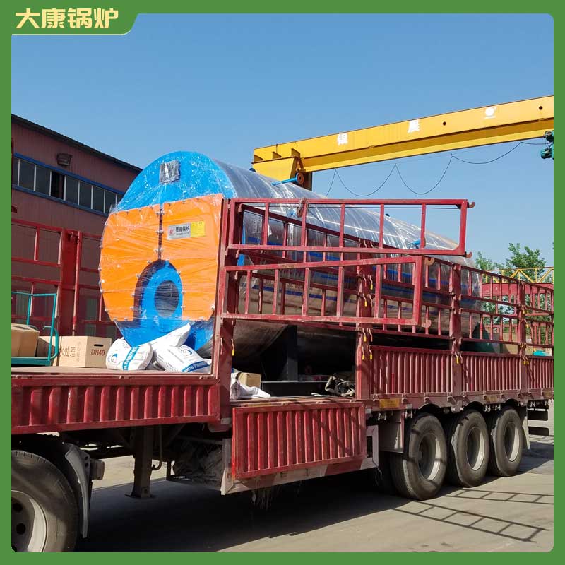 1t生物质乐动（中国）