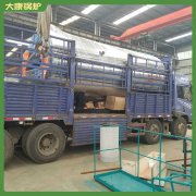 湖北5t低氮乐动（中国）