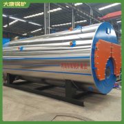 新疆490kw低氮蒸汽乐动（中国）