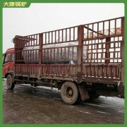 海南90kw常压热水乐动（中国）