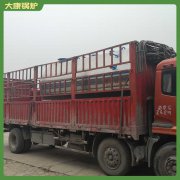 台湾10万大卡热水乐动（中国）