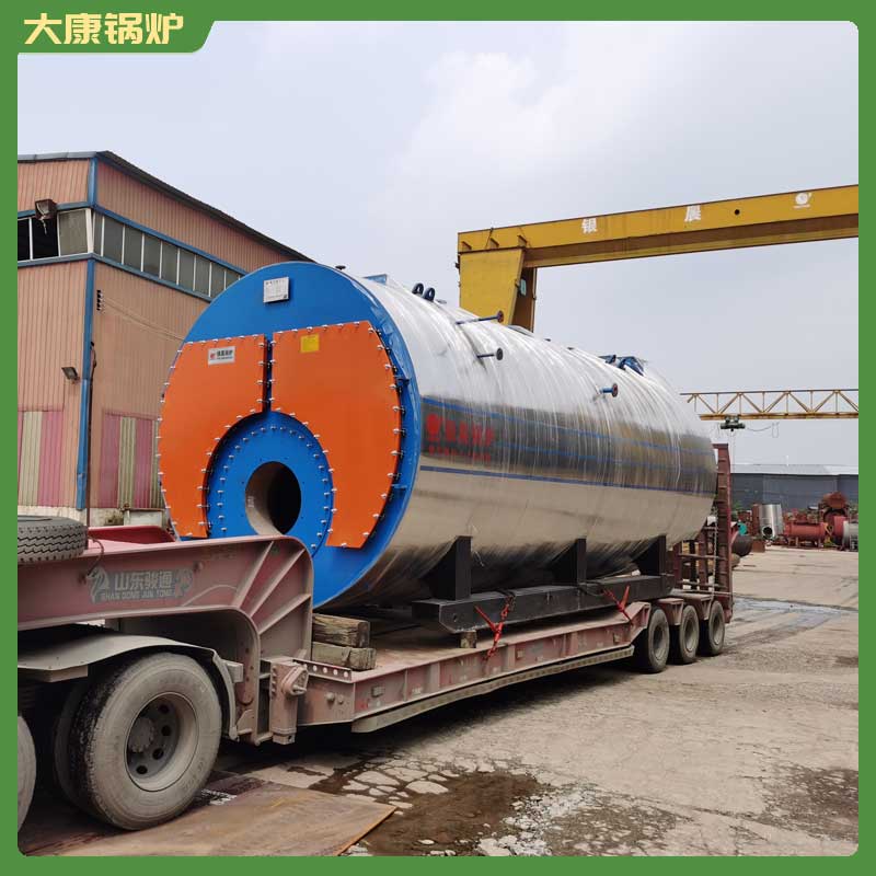 一t燃生物质乐动（中国）