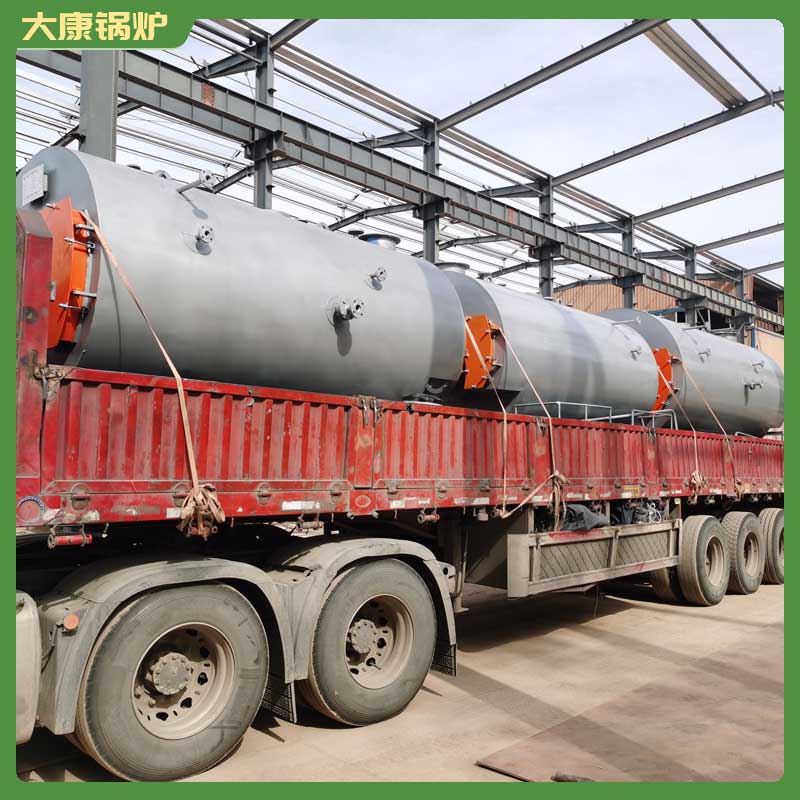 1t/h生物质乐动（中国）