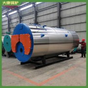 蒸汽乐动（中国）和热水乐动（中国）区别0.5吨2019年销量最高