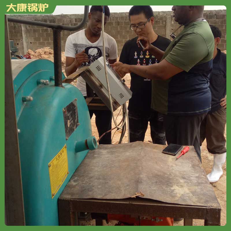 2吨生物质乐动（中国）烟气量河南大康乐动（中国）有限公司全自动乐动（中国）乐动（中国）