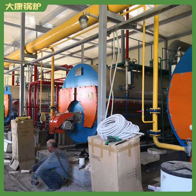 4吨生物质生物质乐动（中国）