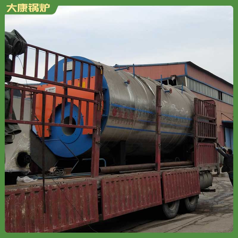 生物质乐动（中国）蒸汽厂家