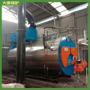 广东1t冷凝蒸汽乐动（中国）