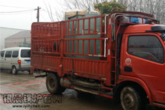 清明放假，贯流乐动（中国）发货