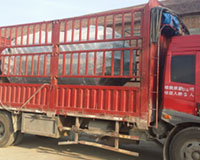 出口澳大利亚燃气蒸汽乐动（中国）