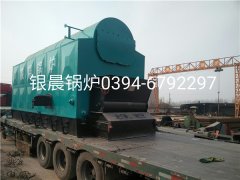 DZL6-1.25-T型6吨链条式生物质蒸汽乐动（中国）发货