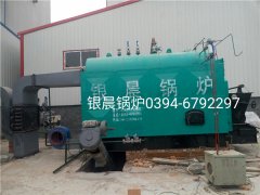 DZL2-1.25-T型2吨生物质蒸汽乐动（中国）安装现场