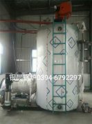 LSS4-1.6-Q型4吨贯流式燃气蒸汽乐动（中国）安装现场