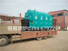 DZL2-1.25-T型2吨链条式生物质蒸汽乐动（中国）发货