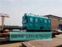 DZH4-1.25-T型4吨生物质蒸汽乐动（中国）发货